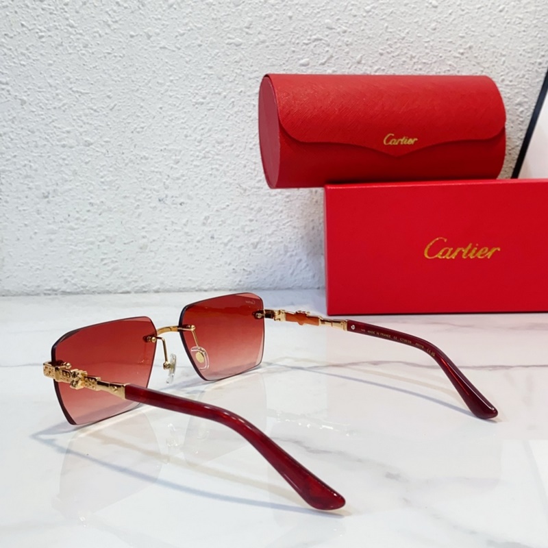 Cartier  MODEL：CT0613S SIZE：50口21-145
