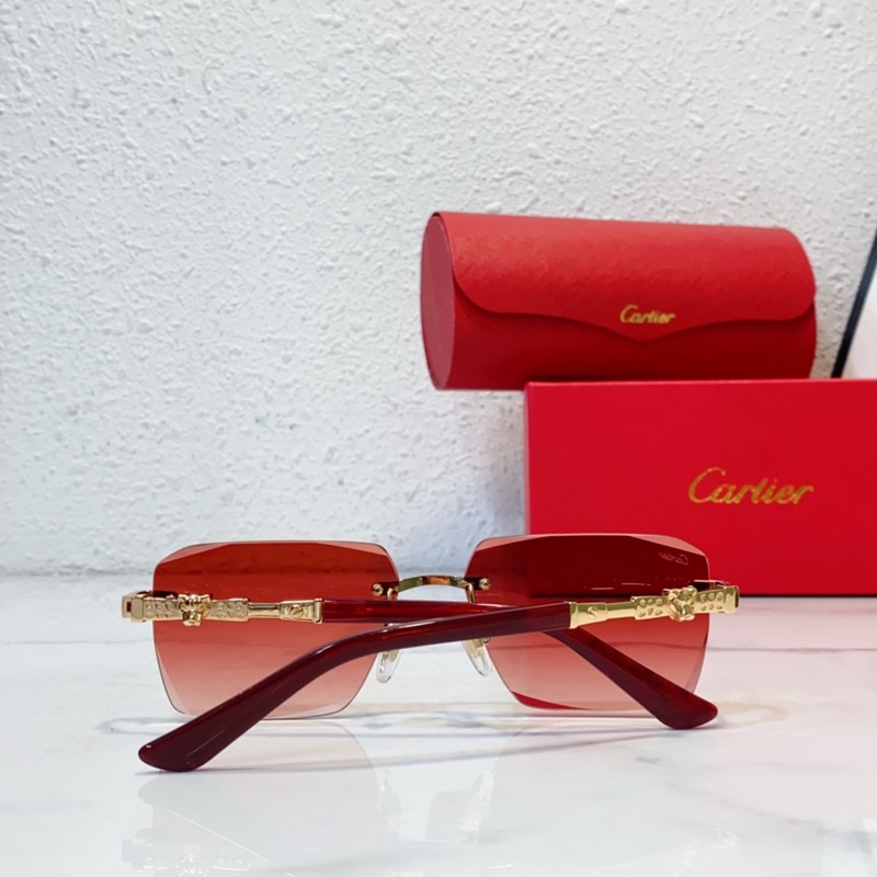 Cartier  MODEL：CT0613S SIZE：50口21-145