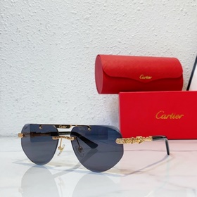 Cartier  MODEL：CT0616S SIZE：50口21-145