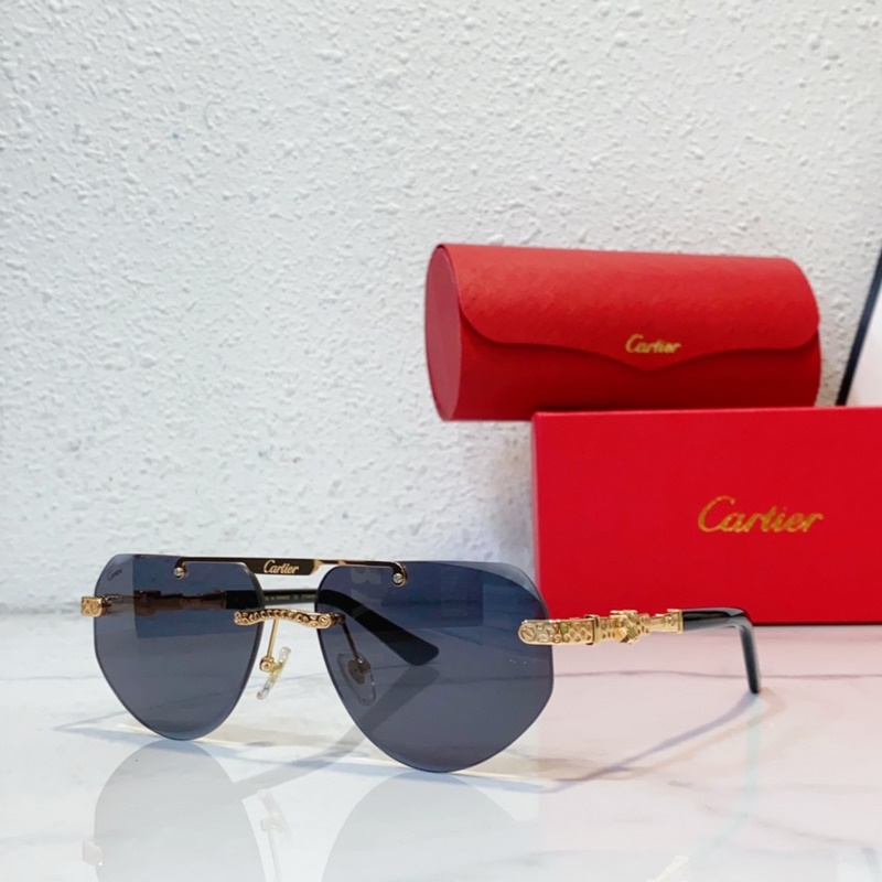 Cartier  MODEL：CT0616S SIZE：50口21-145