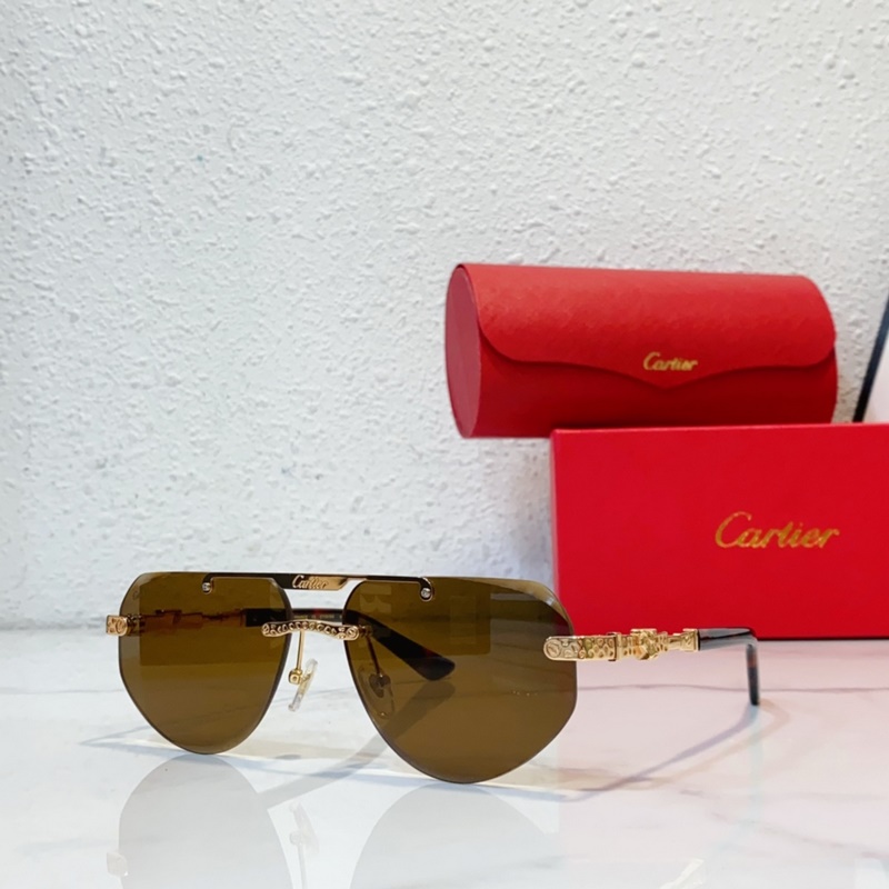 Cartier  MODEL：CT0616S SIZE：50口21-145