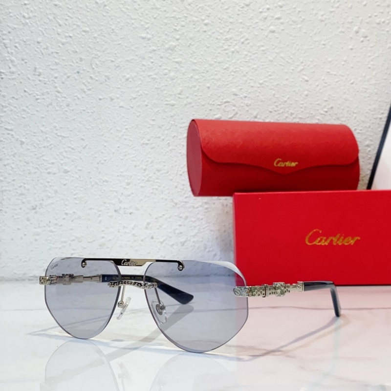Cartier  MODEL：CT0616S SIZE：50口21-145