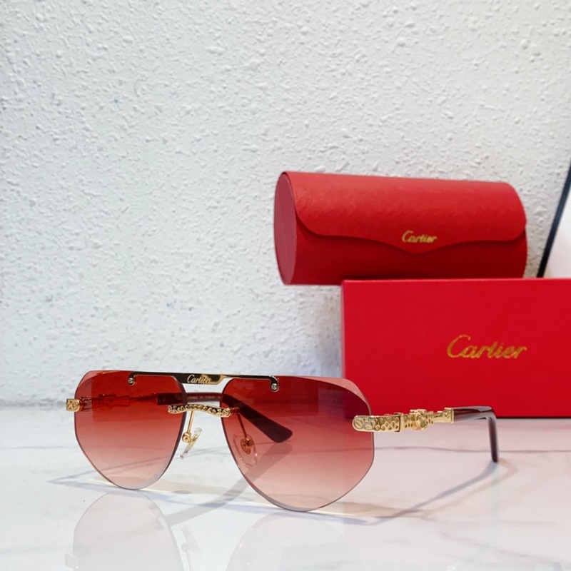 Cartier  MODEL：CT0616S SIZE：50口21-145