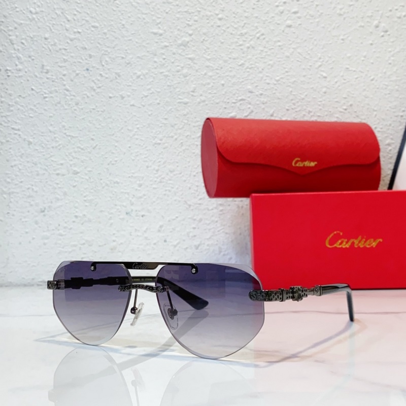 Cartier  MODEL：CT0616S SIZE：50口21-145