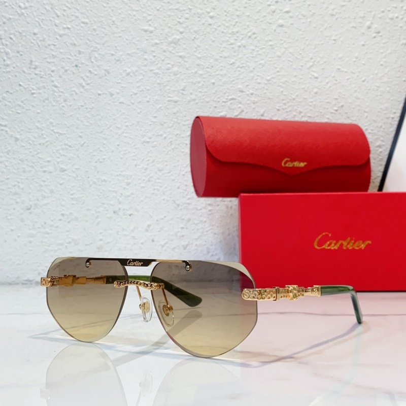 Cartier  MODEL：CT0616S SIZE：50口21-145