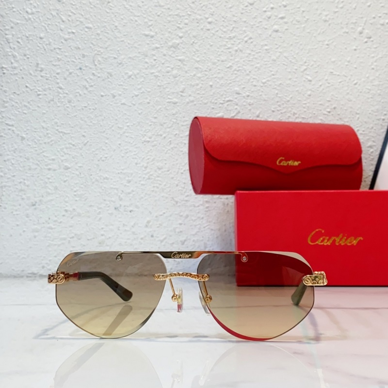 Cartier  MODEL：CT0616S SIZE：50口21-145