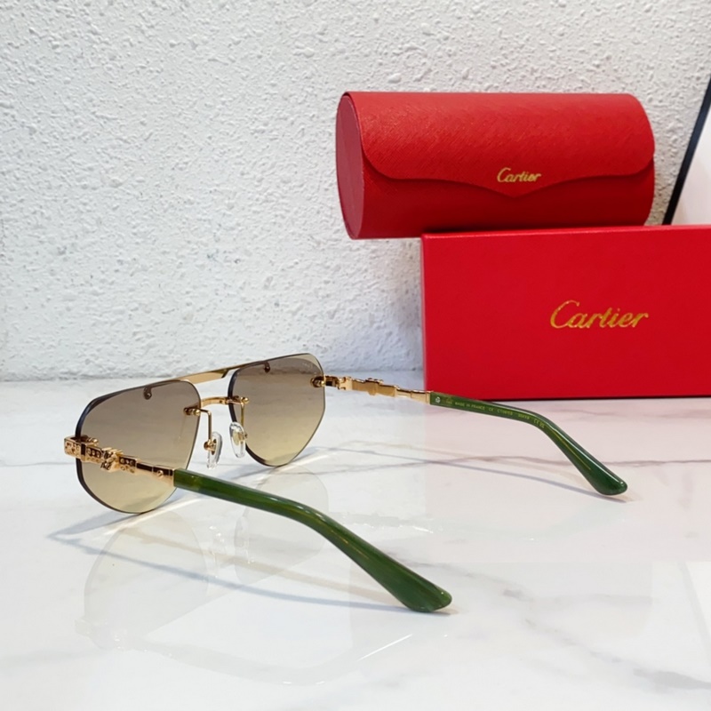 Cartier  MODEL：CT0616S SIZE：50口21-145