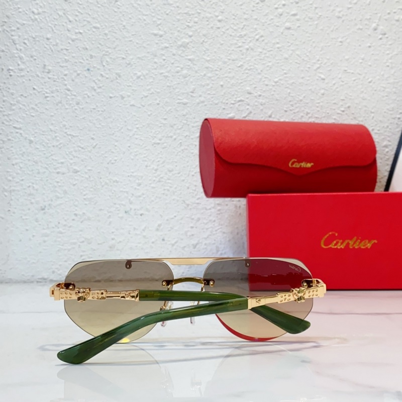 Cartier  MODEL：CT0616S SIZE：50口21-145