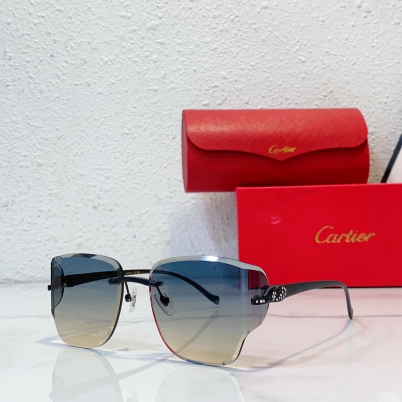 Cartier MODEL：CT0546S SIZE：59口17-130