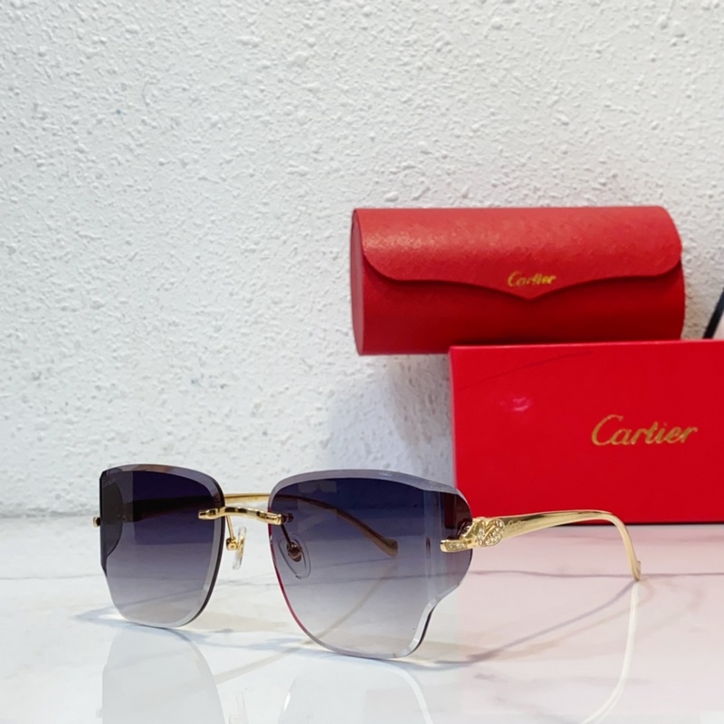 Cartier MODEL：CT0546S SIZE：59口17-130