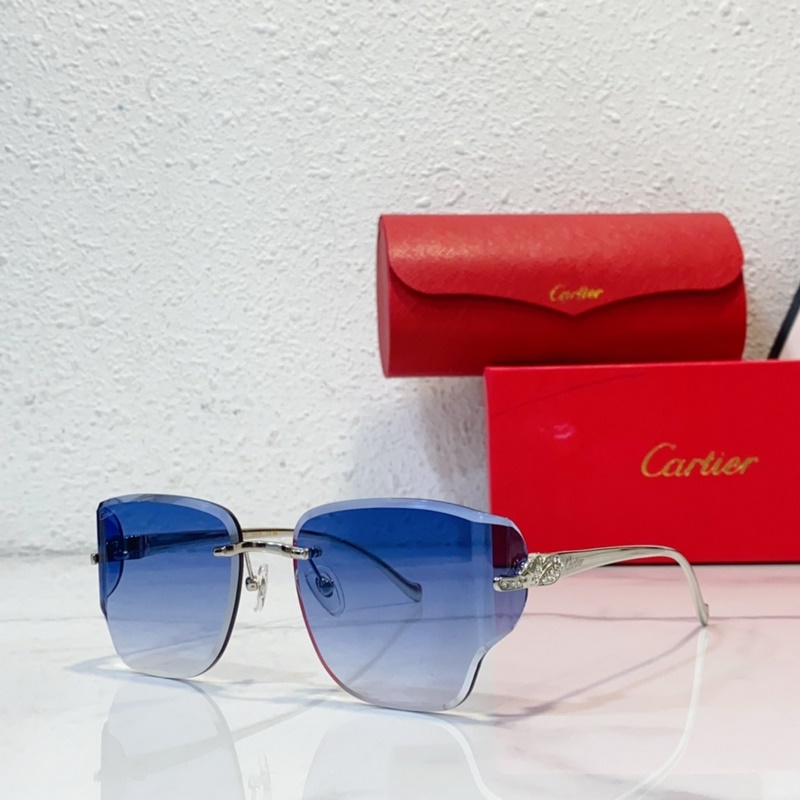 Cartier MODEL：CT0546S SIZE：59口17-130