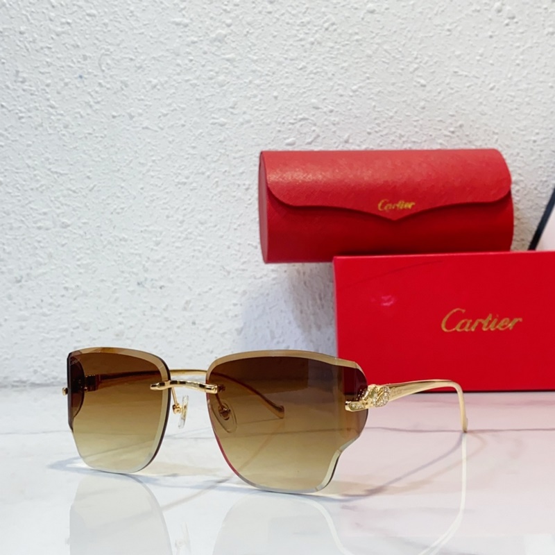 Cartier MODEL：CT0546S SIZE：59口17-130