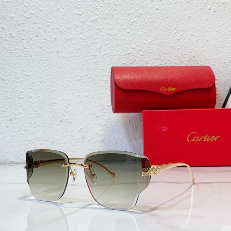 Cartier MODEL：CT0546S SIZE：59口17-130