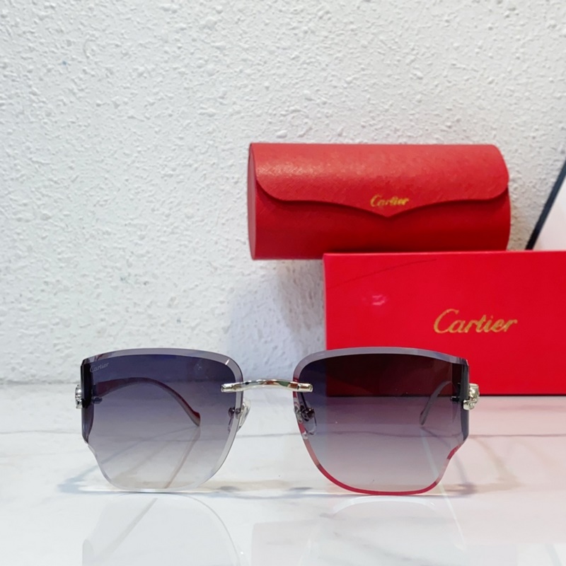 Cartier MODEL：CT0546S SIZE：59口17-130