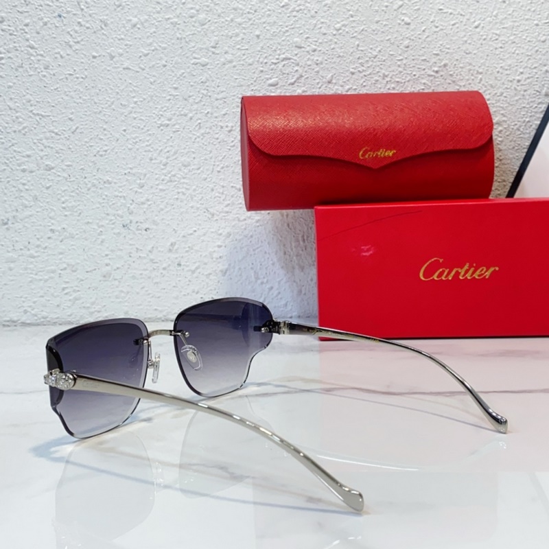 Cartier MODEL：CT0546S SIZE：59口17-130