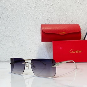 Cartier MODEL：CT0545S SIZE：59口17-130