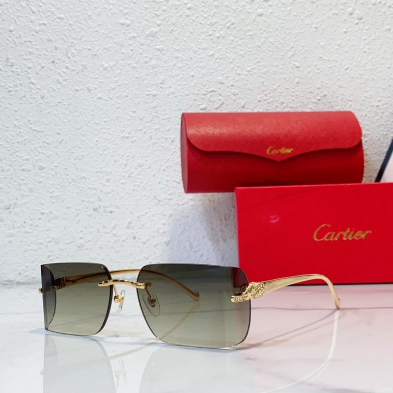 Cartier MODEL：CT0545S SIZE：59口17-130