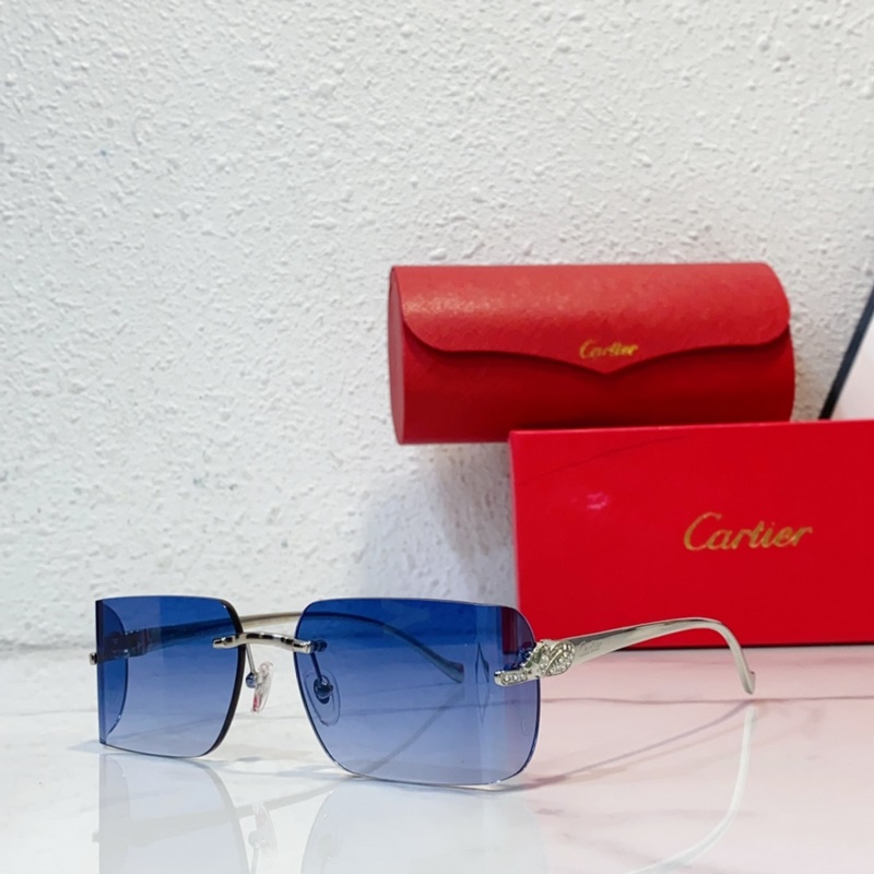 Cartier MODEL：CT0545S SIZE：59口17-130