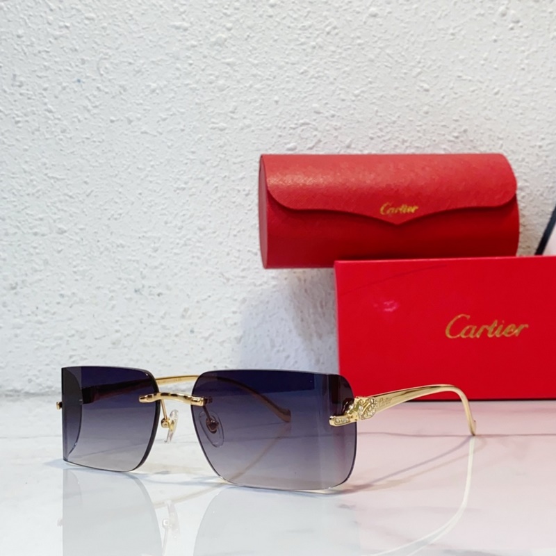 Cartier MODEL：CT0545S SIZE：59口17-130