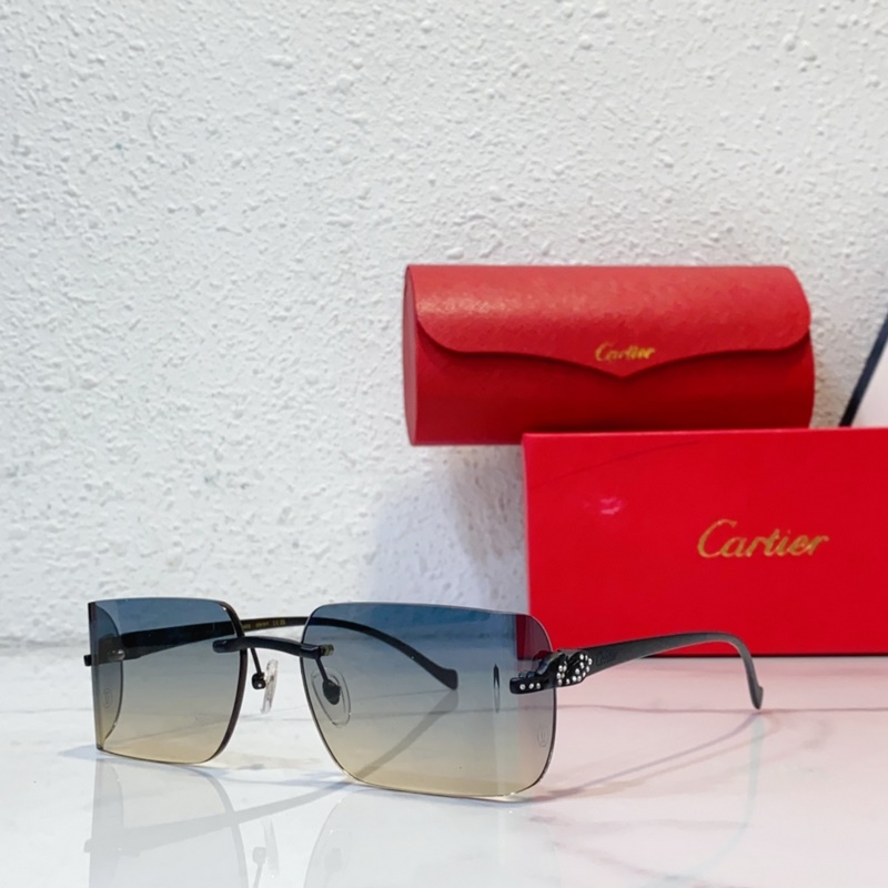 Cartier MODEL：CT0545S SIZE：59口17-130