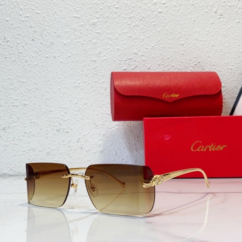 Cartier MODEL：CT0545S SIZE：59口17-130