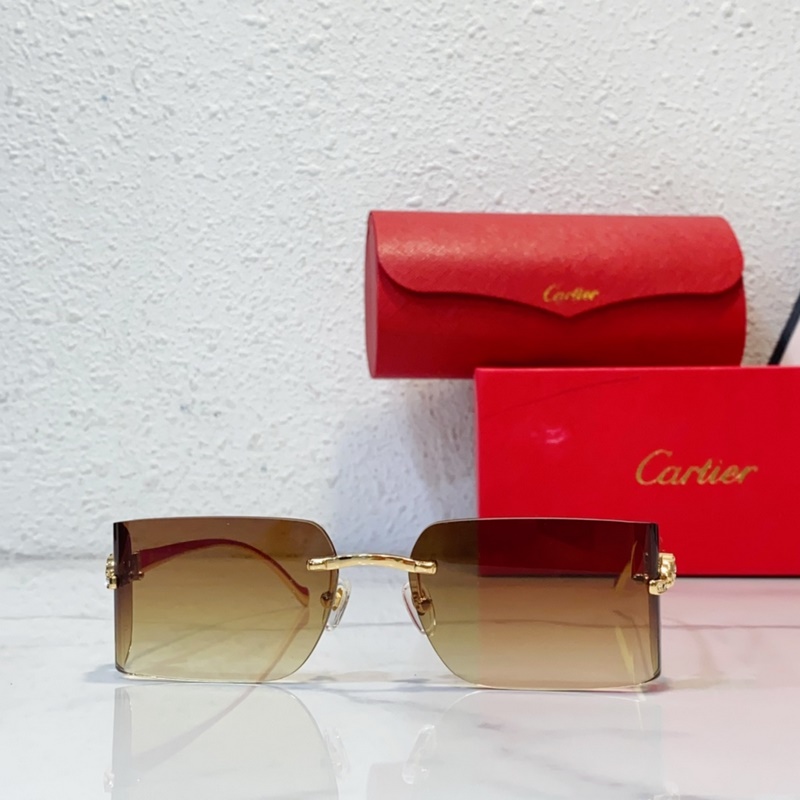 Cartier MODEL：CT0545S SIZE：59口17-130
