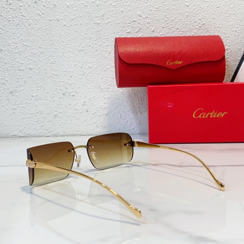 Cartier MODEL：CT0545S SIZE：59口17-130