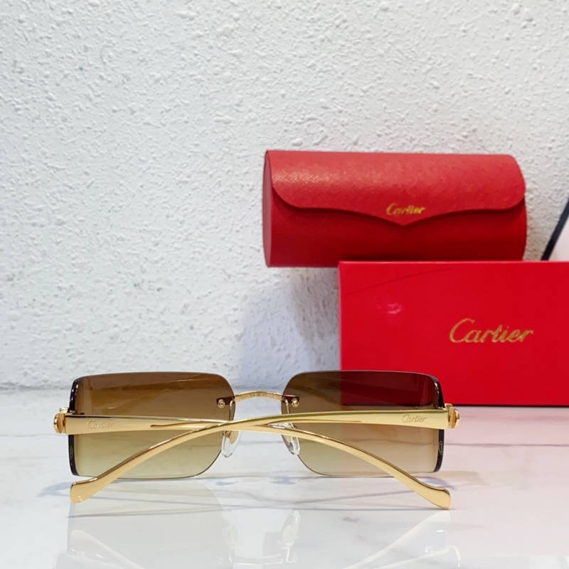 Cartier MODEL：CT0545S SIZE：59口17-130