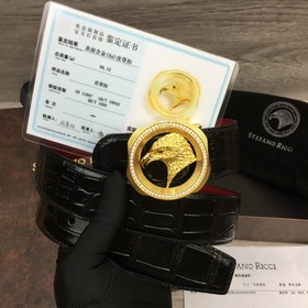 寬度3.8 CM ,長(zhǎng)度80-110歐