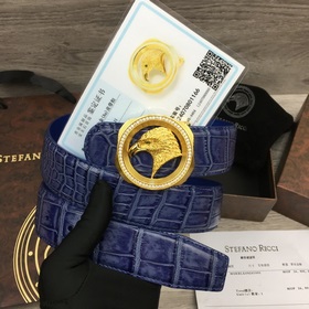 寬度3.8 CM ,長(zhǎng)度80-110歐.