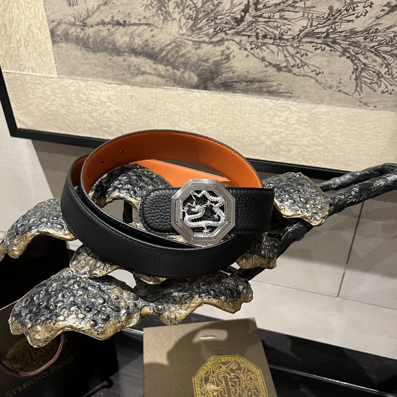 寬度3.8 CM ,長度80-110歐.