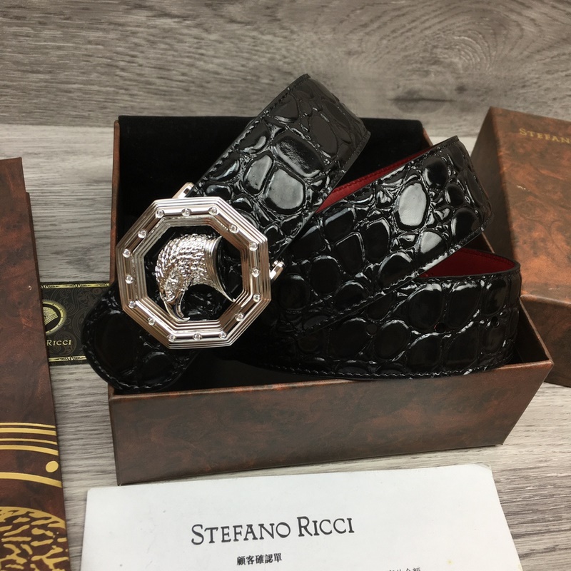 寬度3.8 CM ,長度80-110歐.