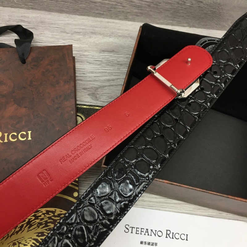 寬度3.8 CM ,長度80-110歐.