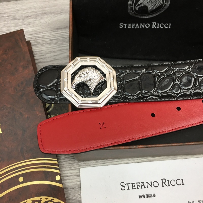 寬度3.8 CM ,長度80-110歐.