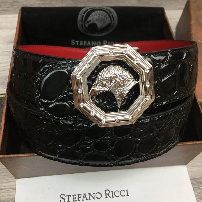 寬度3.8 CM ,長度80-110歐.