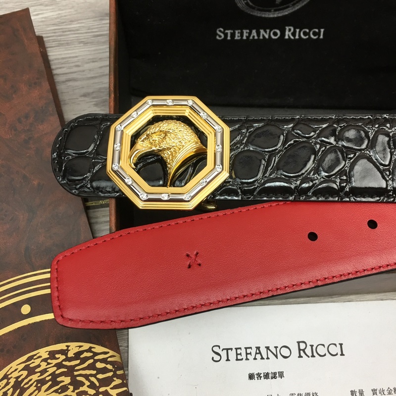 寬度3.8 CM ,長度80-110歐.