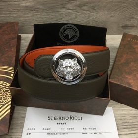 寬度3.8 CM ,長(zhǎng)度80-110歐.