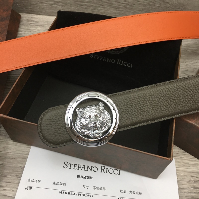 寬度3.8 CM ,長度80-110歐.