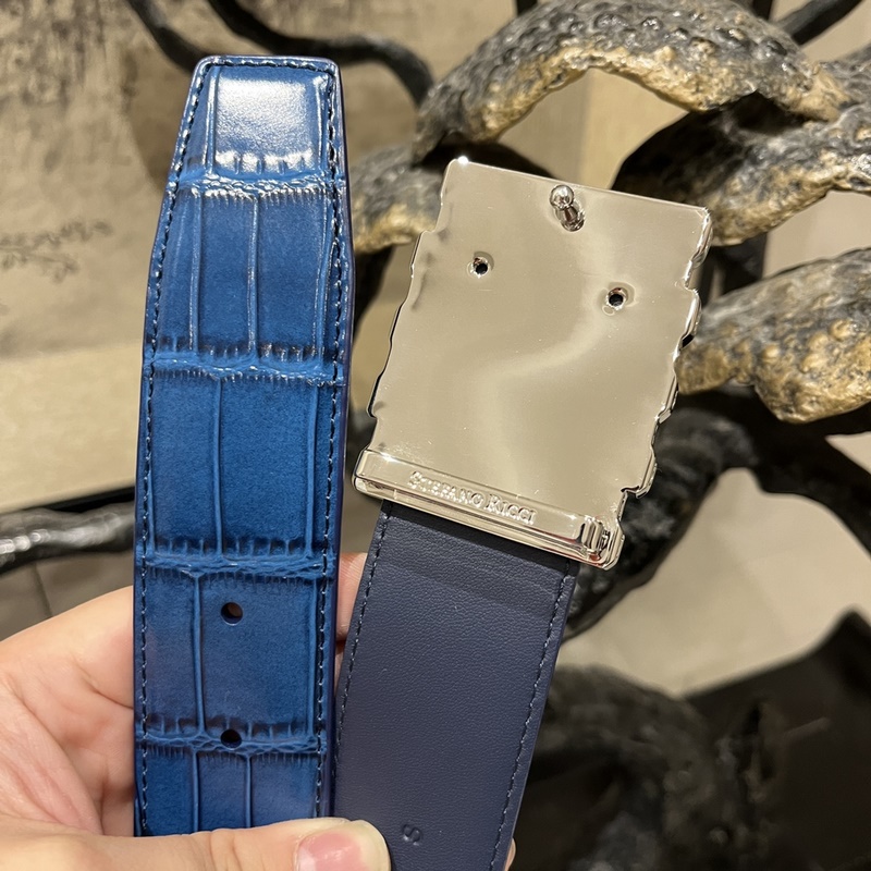 寬度3.8 CM ,長度80-110歐.