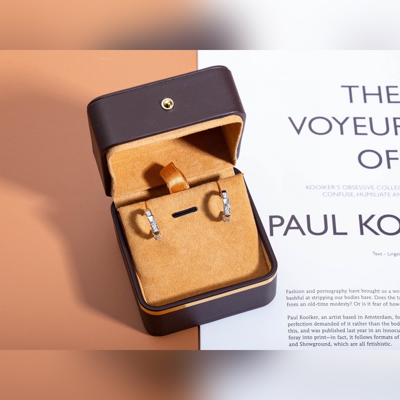 BV間鑽純潔銀蛇耳環 寶格麗 蛇耳環 耳釘 高版本 精工藝 原版飛碟耳塞，頂級版