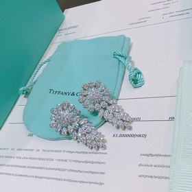 獨(dú)家訂制 Tiff 蒂芙尼耳環(huán)紀(jì)念款 花絮 馬眼 耳釘 采用高碳鑽  頂級亞金材