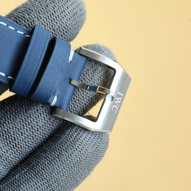 樹立了新的技術標桿，萬國飛行員系列主力款馬克二十系列延續了馬克系列的精髓，配備