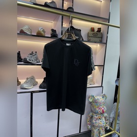 上新 25ss Dior 早春新款T恤 面料選用牛奶絲棉 輕薄透氣 上身絲滑舒適