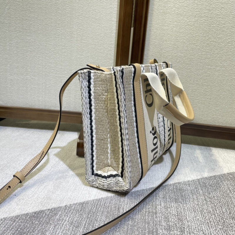 2026年新款Chloe彩虹 Woody托特-新成員來報道！！！這款彩虹包顔色超