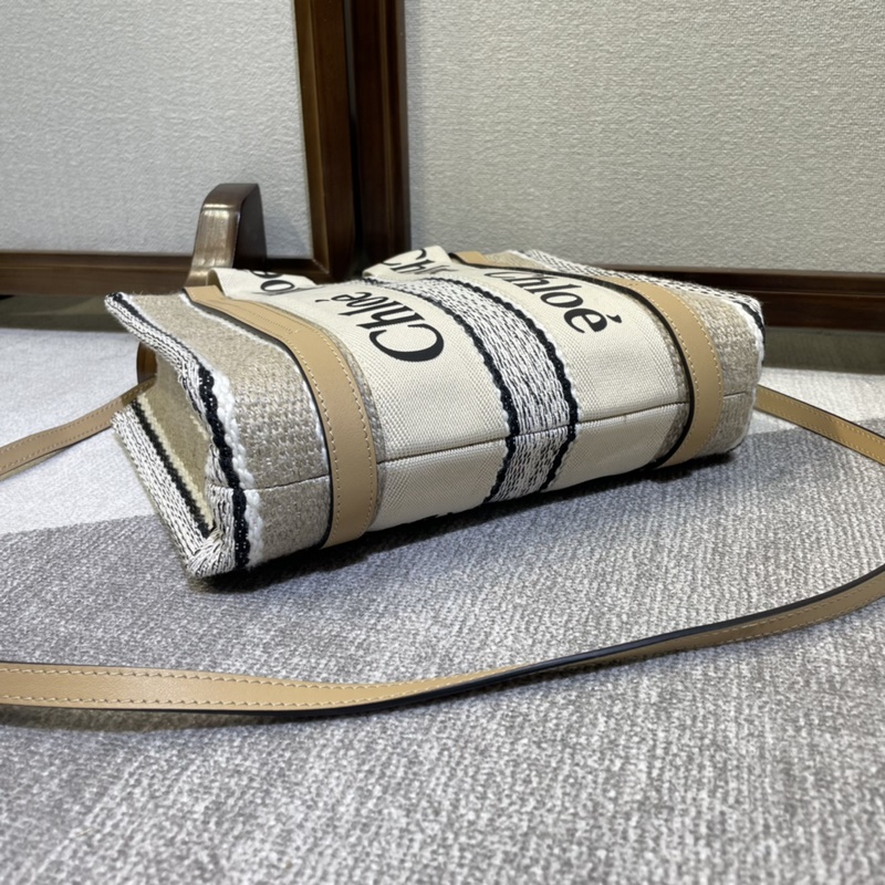 2026年新款Chloe彩虹 Woody托特-新成員來報道！！！這款彩虹包顔色超