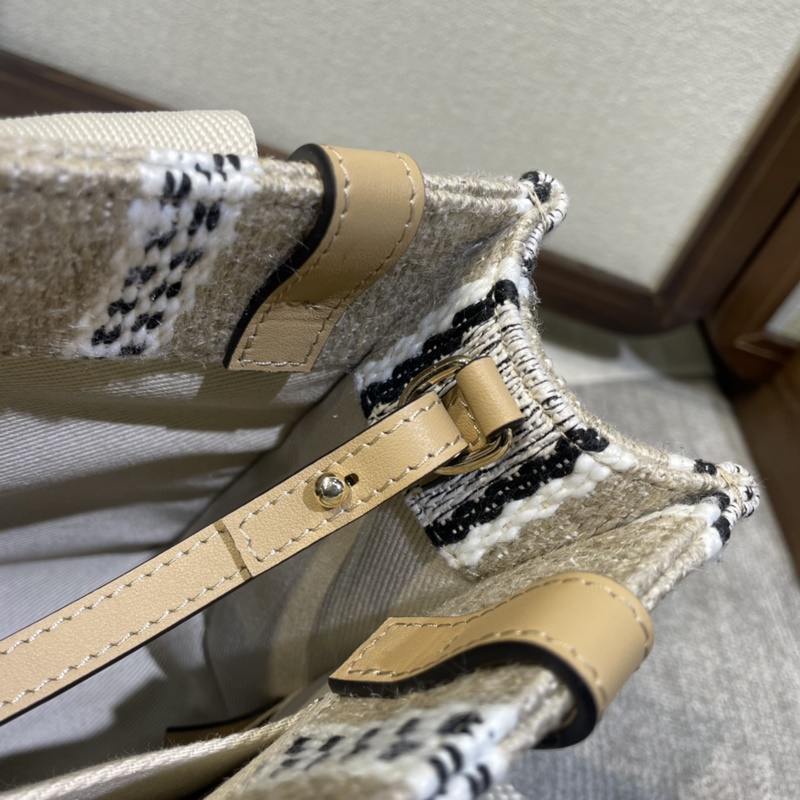 2026年新款Chloe彩虹 Woody托特-新成員來報道！！！這款彩虹包顔色超