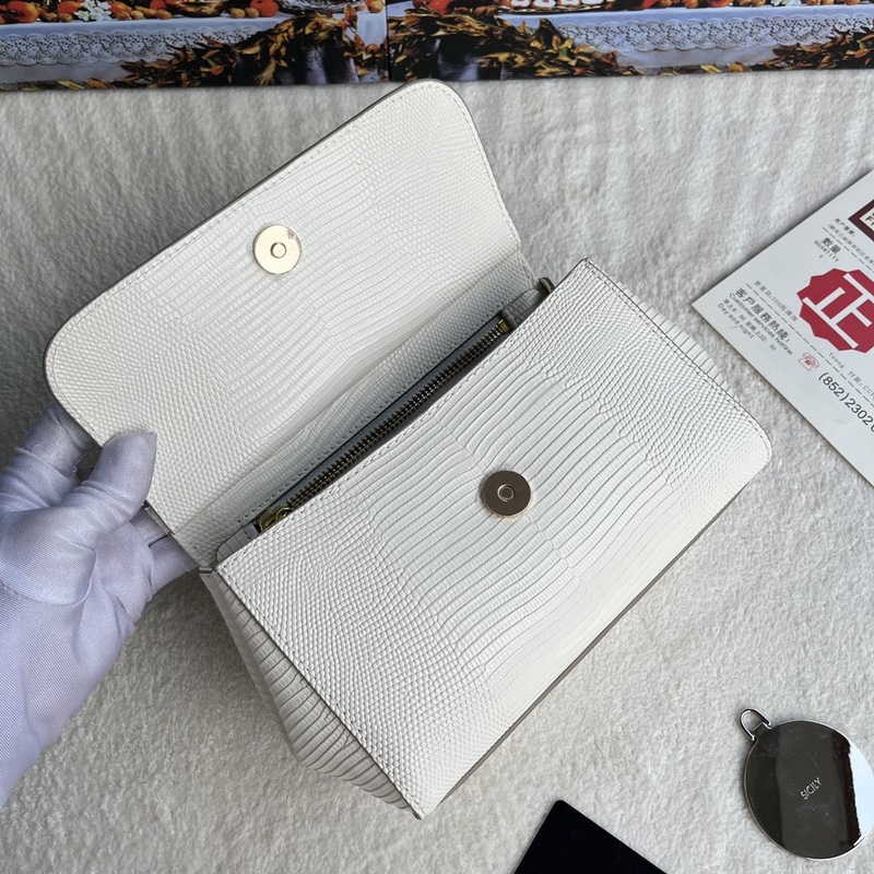 [Dolce & Gabbana 杜嘉班納]款號：4135蜥蜴鑽 原單 完美袋形