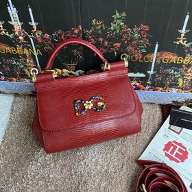 [Dolce & Gabbana 杜嘉班納]款號：4135蜥蜴鑽 原單 完美袋形