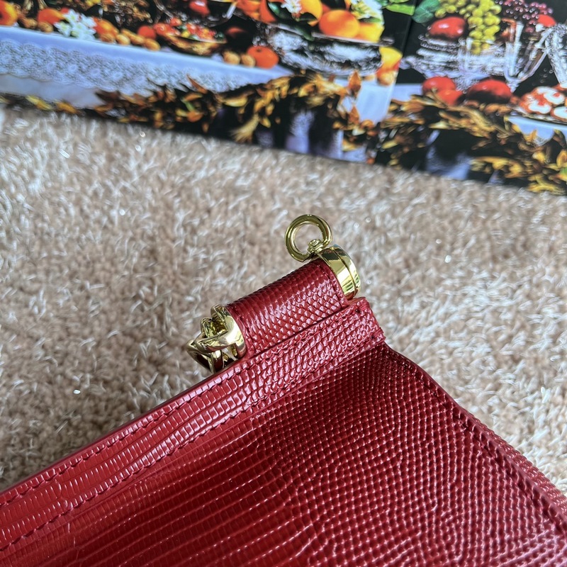 [Dolce & Gabbana 杜嘉班納]款號：4135蜥蜴鑽 原單 完美袋形