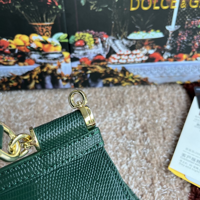 [Dolce & Gabbana 杜嘉班納]款號：4135蜥蜴鑽 原單 完美袋形